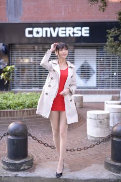 动漫后宫